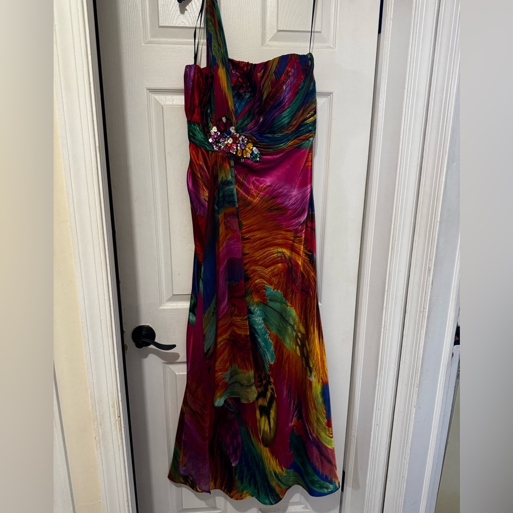 Worn Once peacock styled dress Size 10